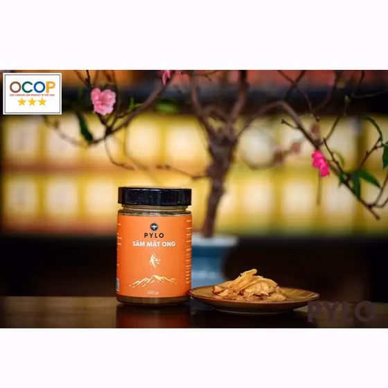 Sâm mật ong Pylo