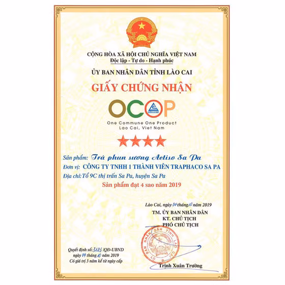 Trà phun sương actiso Sa Pa 