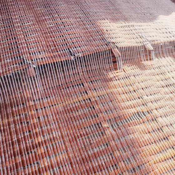 Miến dong Bình Lư