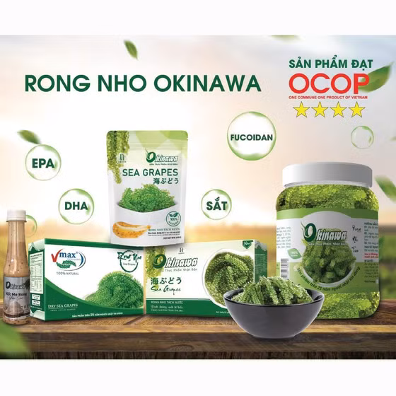 Rong nho tách nước Okinawa 