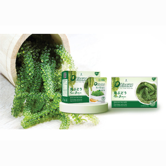 Rong nho tách nước Okinawa 