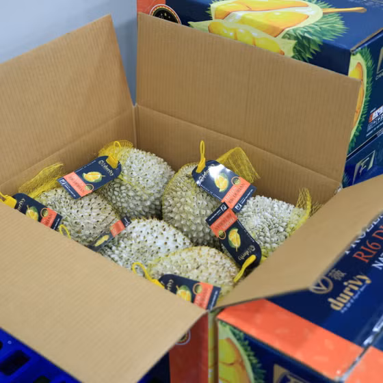 Sầu riêng cấp đông nguyên trái