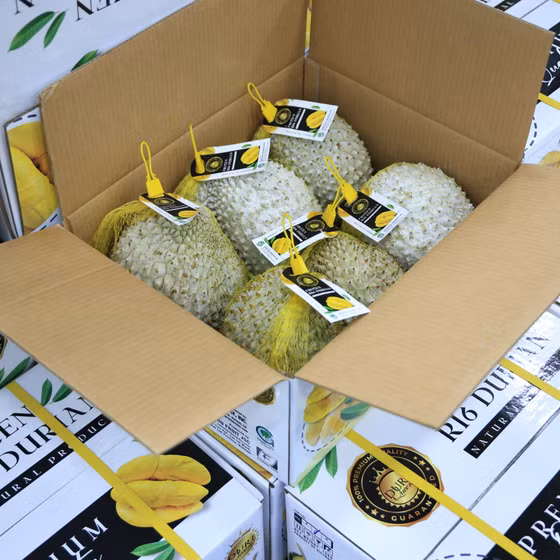 Sầu riêng cấp đông nguyên trái