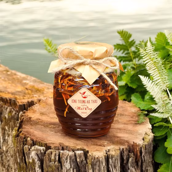 Đông trùng hạ thảo Narasa