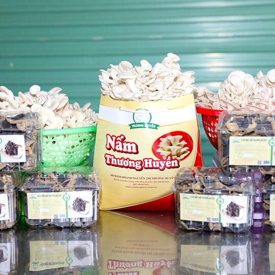 Nấm Thương Huyền