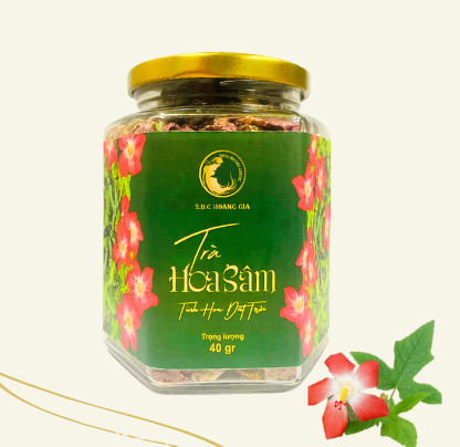 Sâm Bố Chính Hoàng Gia