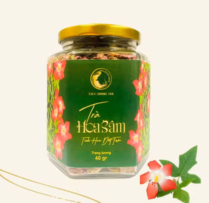 Sâm Bố Chính Hoàng Gia