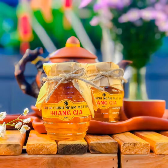 Sâm Bố Chính Hoàng Gia