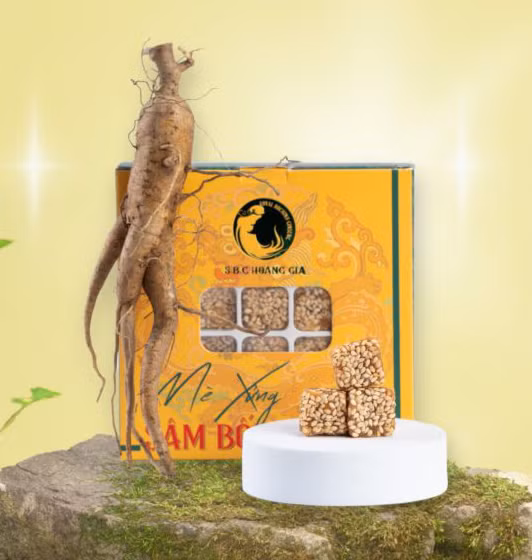 Sâm Bố Chính Hoàng Gia