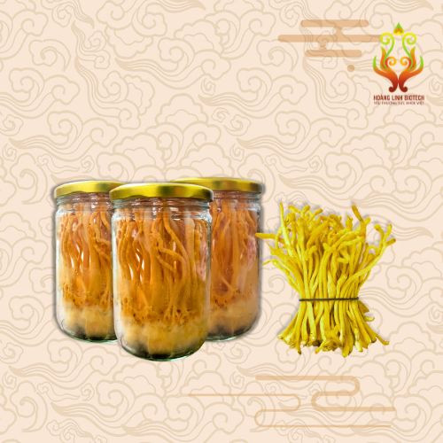 Đông trùng hạ thảo Hoàng Linh Biotech