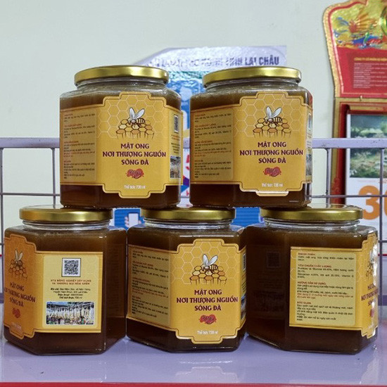 Mật ong nơi thượng nguồn sông Đà 