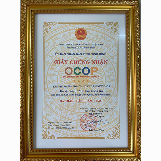  Trà hoa vàng Cúc Phương 20gr