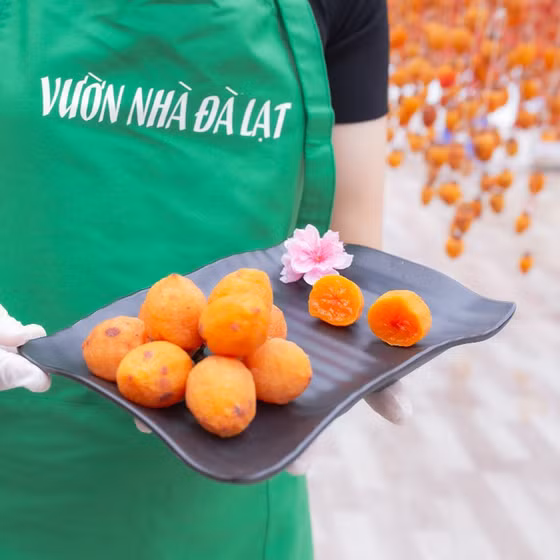 Hồng treo gió Vườn nhà Đà Lạt