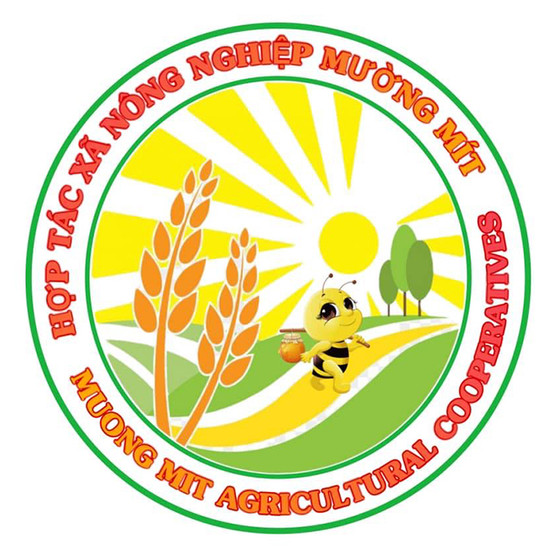 Mật ong Thanh Xuân