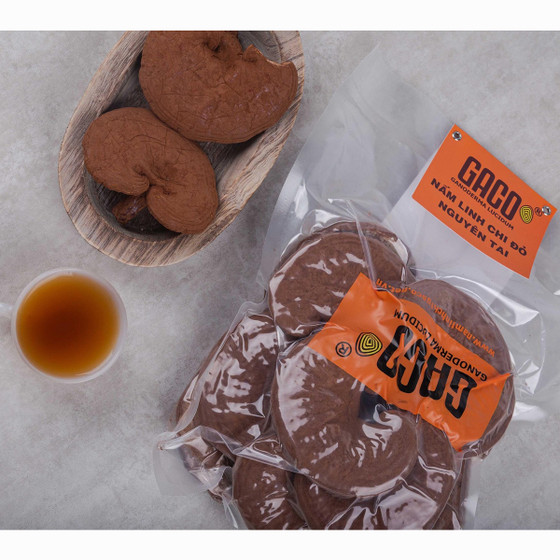 Nấm linh chi Hồng Ân