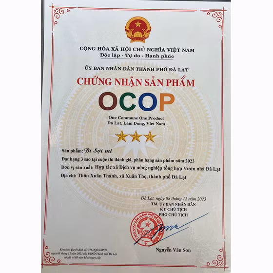 Bí sợi mỳ