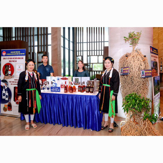 Rượu ba kích Tam Đảo sâm cau