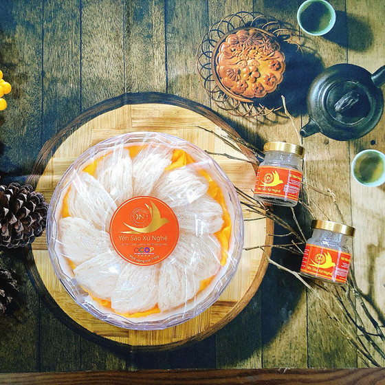 Yến sào tinh chế Xứ Nghệ