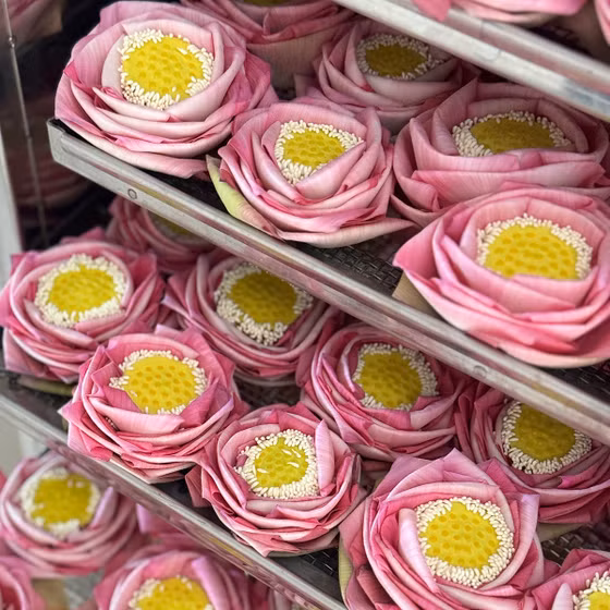 Hồng liên trà Phúc An Farm