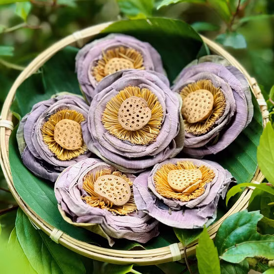 Hồng liên trà Phúc An Farm