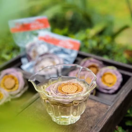 Hồng liên trà Phúc An Farm