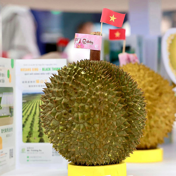 Sầu riêng cấp đông nguyên trái