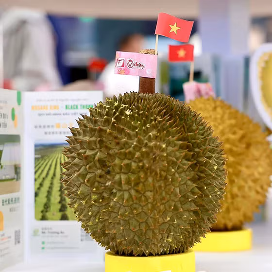 Sầu riêng cấp đông nguyên trái