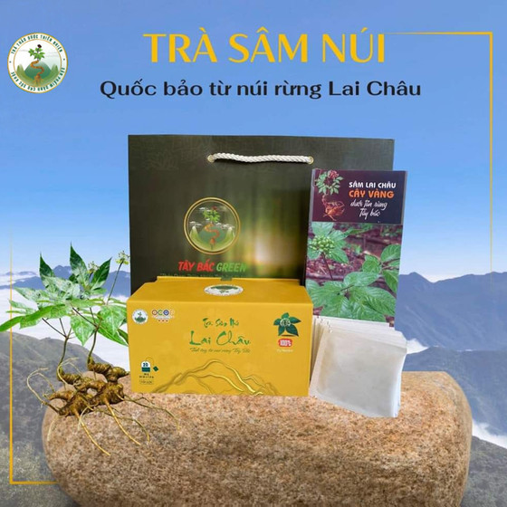Trà sâm núi Lai Châu