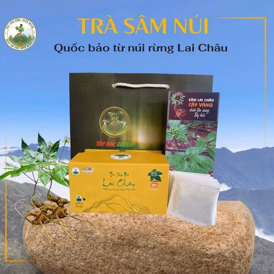 Trà sâm núi Lai Châu