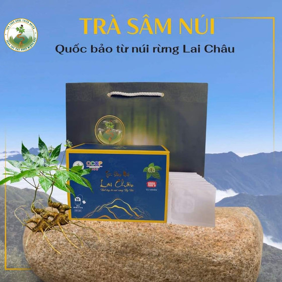 Trà sâm núi Lai Châu