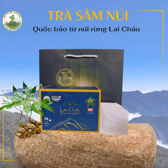 Trà sâm núi Lai Châu