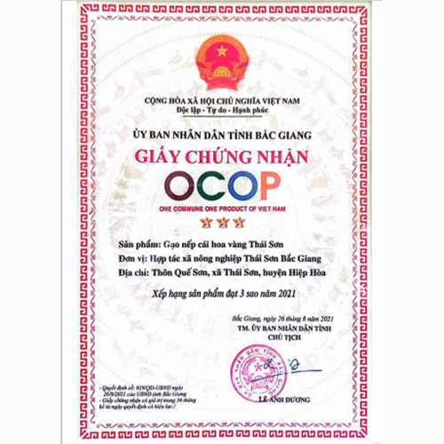 Gạo nếp cái hoa vàng Thái Sơn