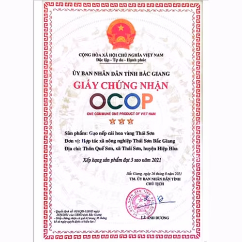 Gạo nếp cái hoa vàng Thái Sơn