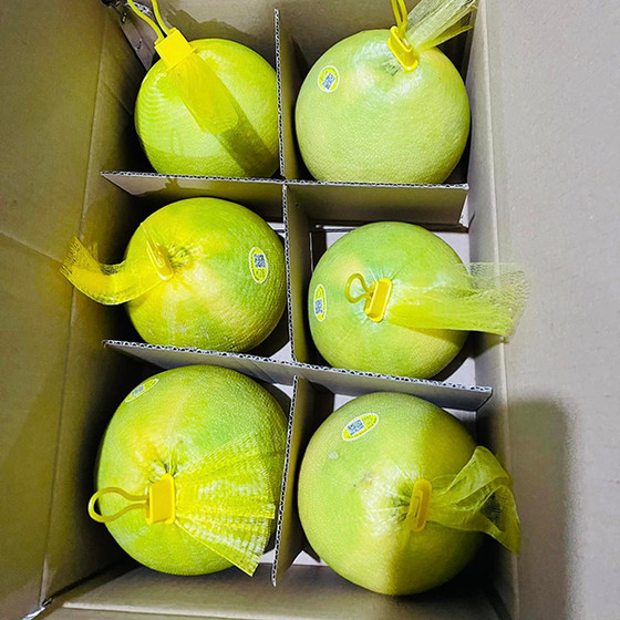 Bưởi Phúc Trạch sinh thái CHOA