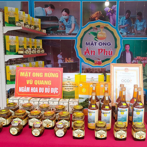 Mật ong ngâm hoa đu đủ đực Mạnh Hùng