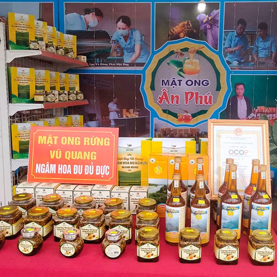 Mật ong ngâm hoa đu đủ đực Mạnh Hùng