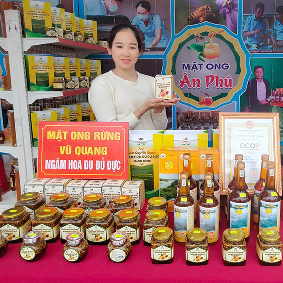 Mật ong ngâm hoa đu đủ đực Mạnh Hùng