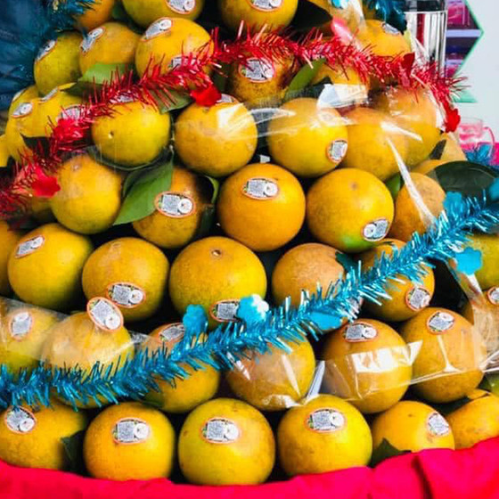 Cam Khe Giao Ngọc Sơn