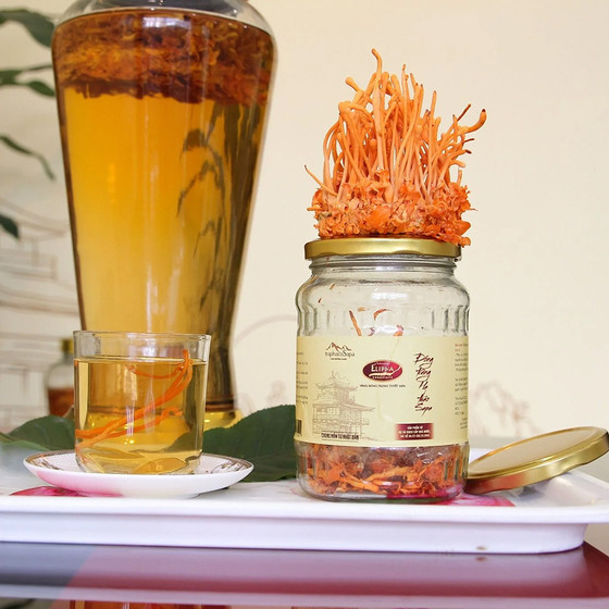 Đông trùng hạ thảo Sa Pa tươi 