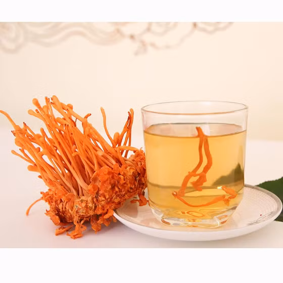 Đông trùng hạ thảo Sa Pa tươi 