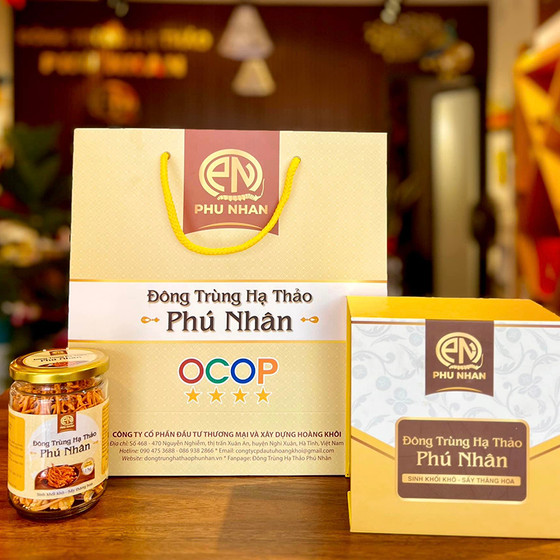 Đông trùng hạ thảo Phú Nhân