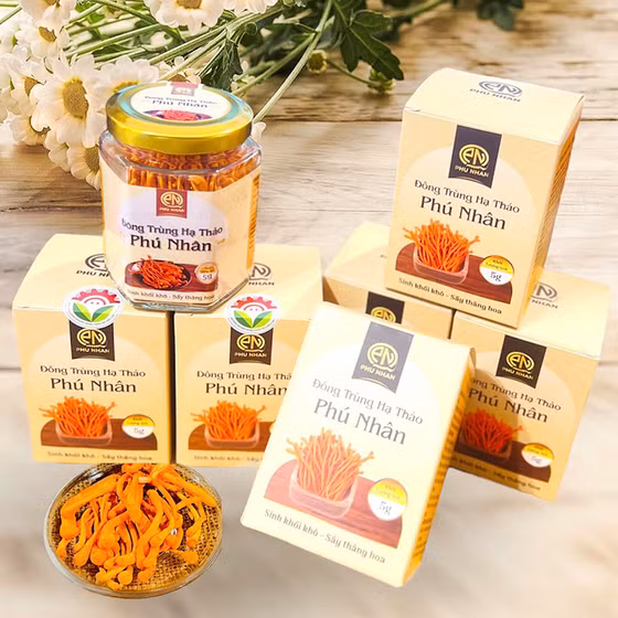 Đông trùng hạ thảo Phú Nhân