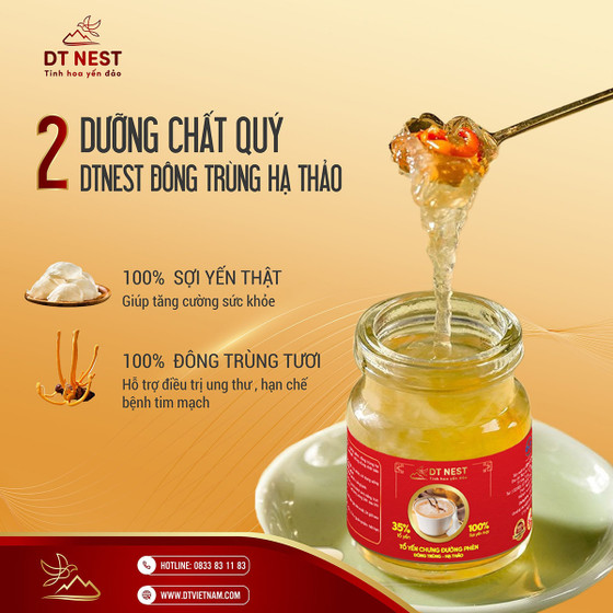 Tổ yến chưng đường phèn đông trùng hạ thảo DTNest