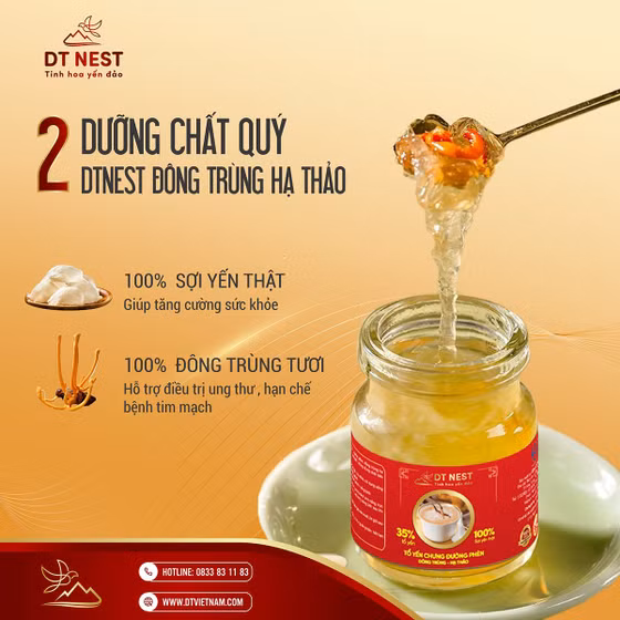 Tổ yến chưng đường phèn đông trùng hạ thảo DTNest