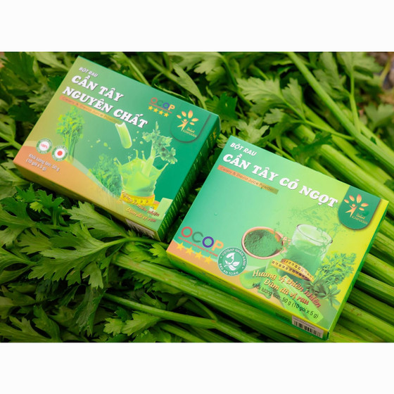 Bột cần tây cỏ ngọt sấy lạnh Dalat Ichifoods