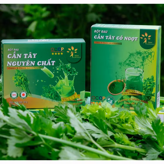 Bột cần tây cỏ ngọt sấy lạnh Dalat Ichifoods