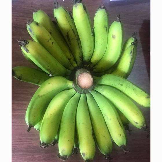 Chuối Laba sấy dẻo