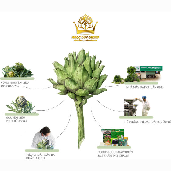 Cao nước atiso cỏ ngọt Ngọc Duy