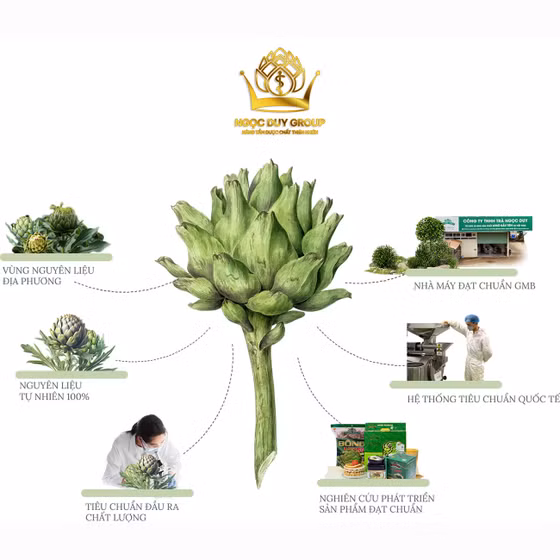 Cao nước atiso cỏ ngọt Ngọc Duy