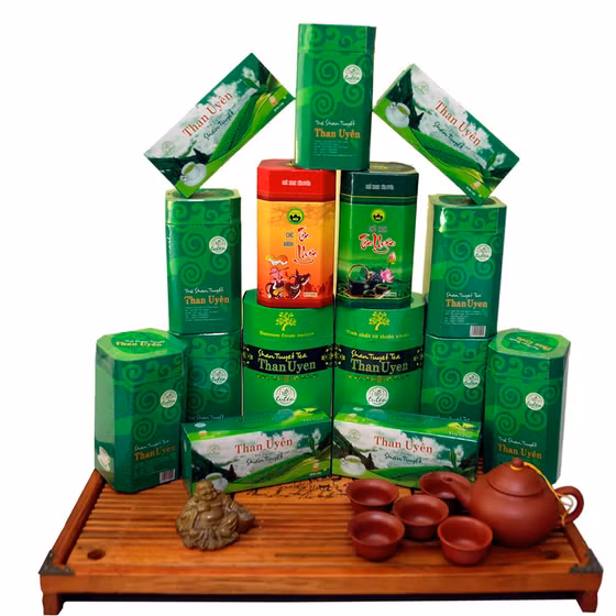 Trà Shan tuyết Than Uyên 